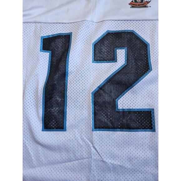 1995 Carolina Panthers #12 Kerry Collins Inaugural Season Game Jersey APEX SZ L - Picture 12 of 16